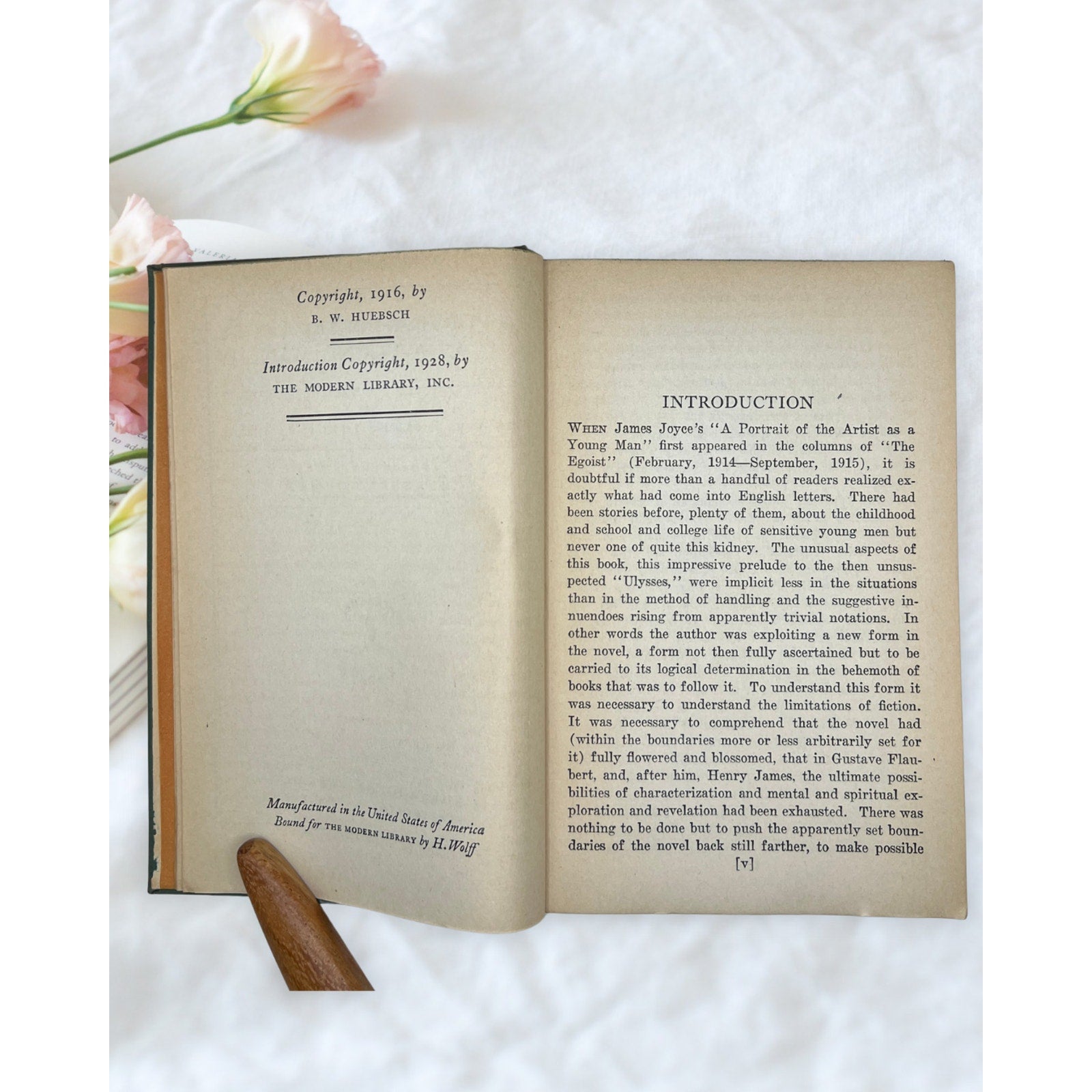 Vintage A Portrait of the Artist as a Young Man James Joyce Modern Library Book