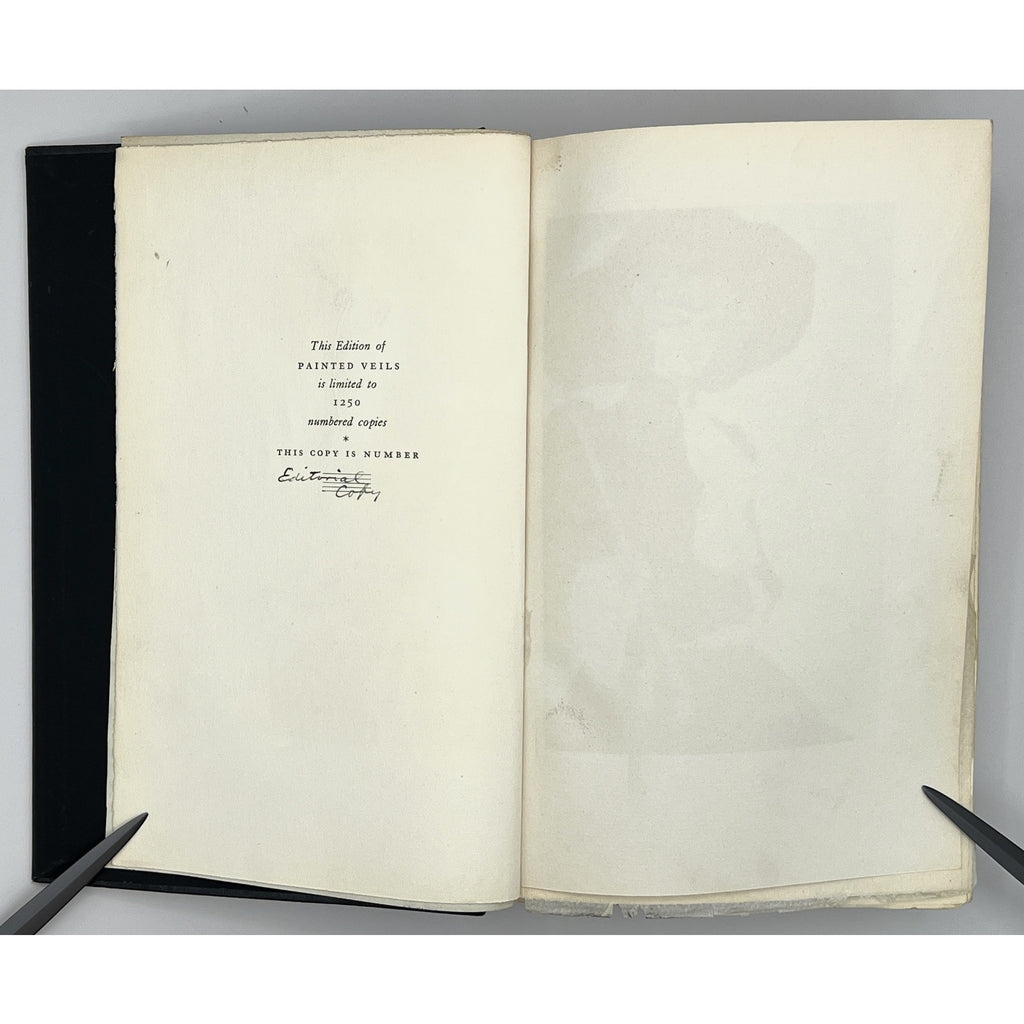 Painted Veils by James Huneker, Rare 1929 Illustrated Editorial Copy