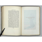 Painted Veils by James Huneker, Rare 1929 Illustrated Editorial Copy